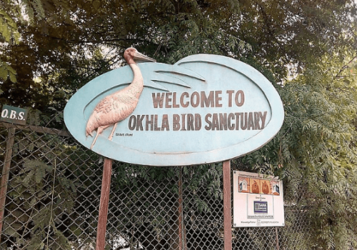 okhla bird sanctuary