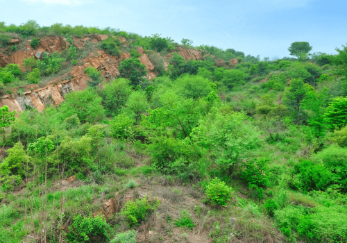 places_to_visit_in_aravali_hills