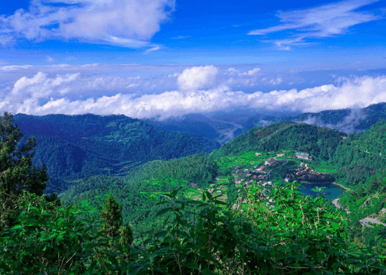 bird photography tours in sattal