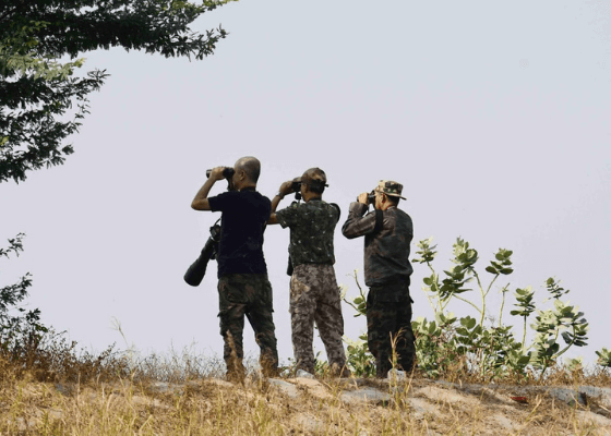 okhla bird sanctuary photography