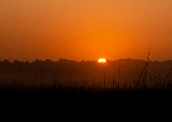 sattal birding tour packages