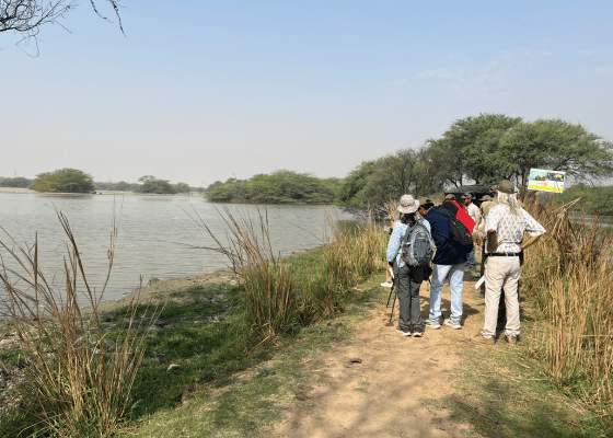 Delhi Earth Walks In Sultanpur National Park