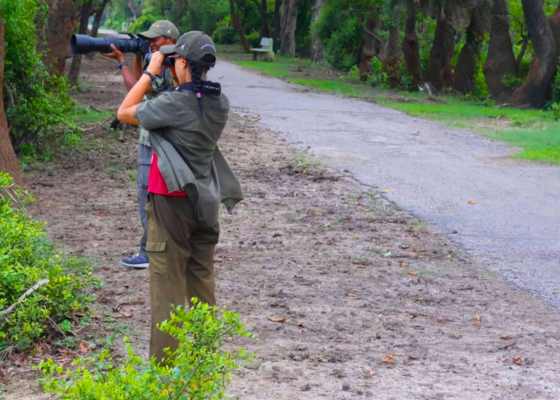 Birds Photography in Bharatpur