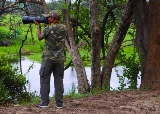 Birds Photography in Bharatpur