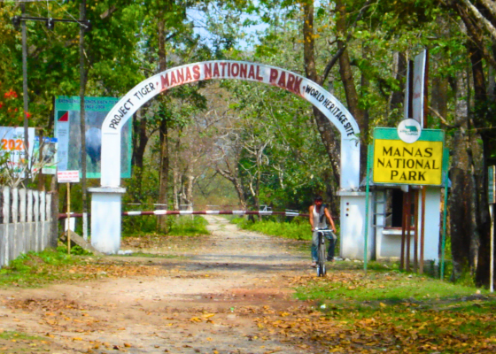 Manas National Park