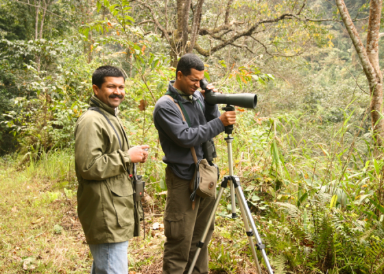 Manas National Park