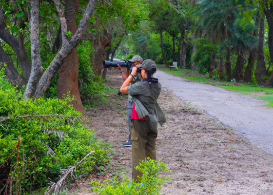 Monsoon Birding Tour At Bharatpur