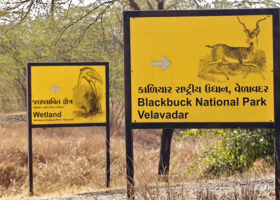 Velavadar National Park