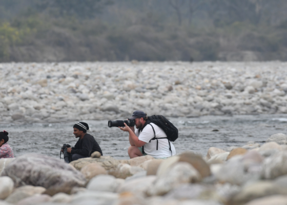 birds photography in corbett