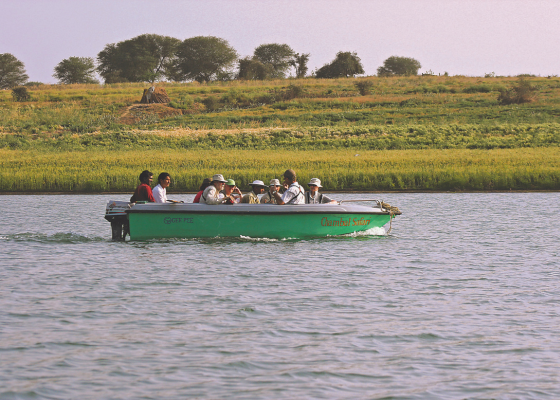 Wildlife Near Chambal