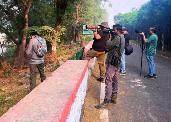 Birdwatching in Okhla