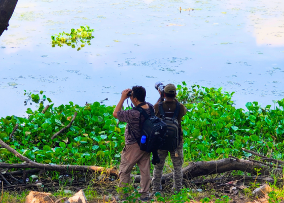 birding in okhla bird sanctuary